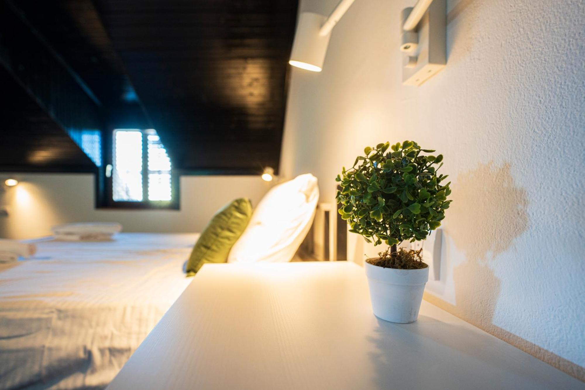 Cozy Nook B&B - Free Private Parking Novi Sad Bagian luar foto